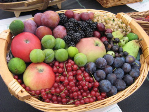 Fruit-basket-Sarah-Barker-e1425305707978