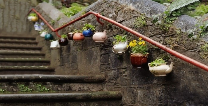 Potted Teapots And Jugs