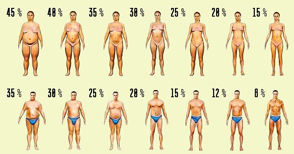 ожирение у женщин и мужчин