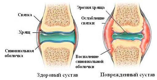 салат для очищения организма салат для очищения организма