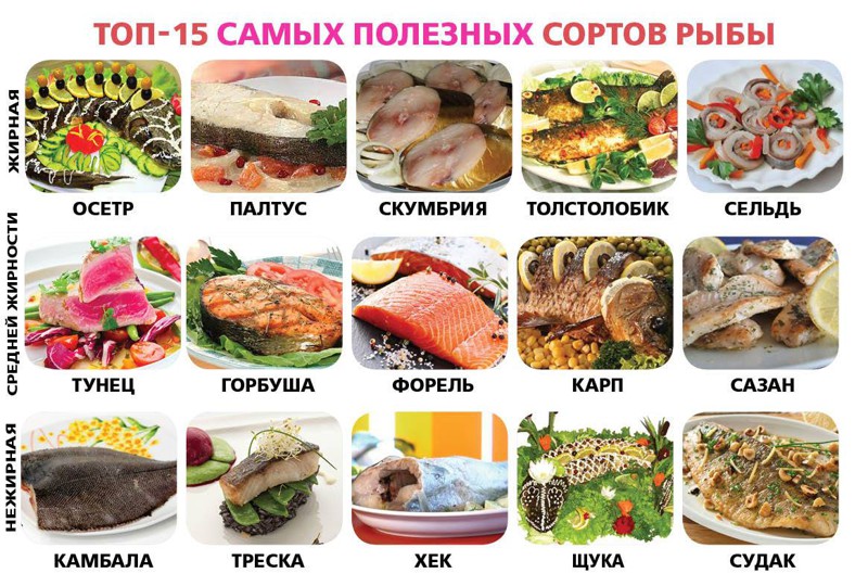 аптечное средство от глистов аптечное средство от глистов