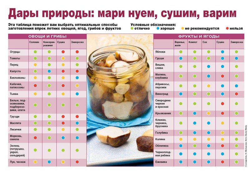 аптечное средство от глистов аптечное средство от глистов