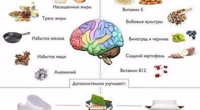 Важные продукты для питания мозга