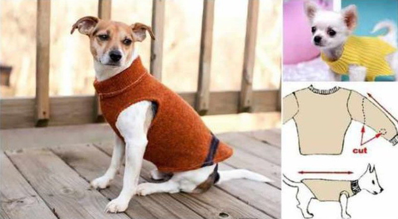9. Одежда для собаки свитер, своими руками, совет, хитрости