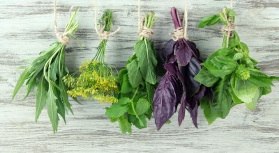 8 домашних растений, которые помогут коже засиять!