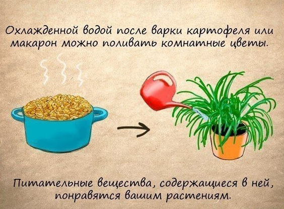 14 домашних хитростей. Такое знает не каждая хозяйка