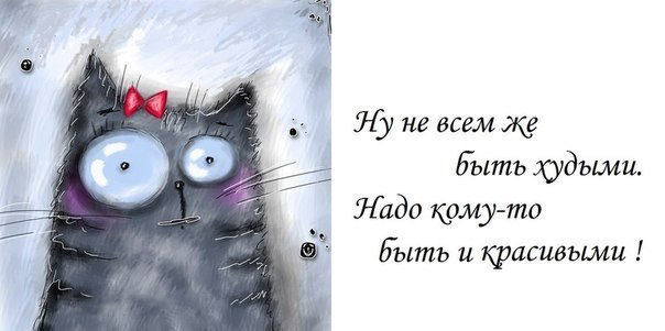 Минутка Смеха!