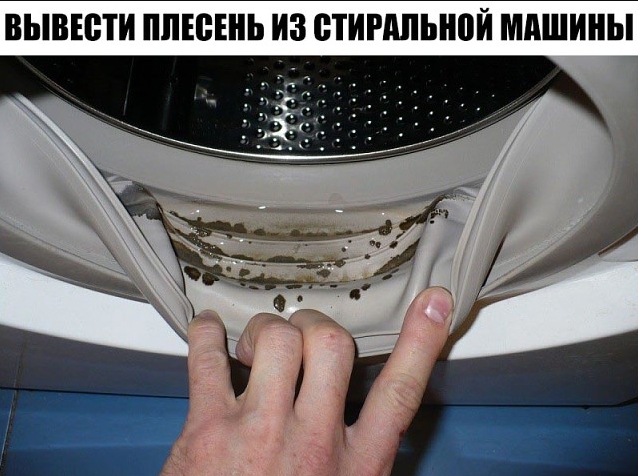 В стиральной машине обнаружена плесень! Хорошо, что я знаю этот чудо-метод…