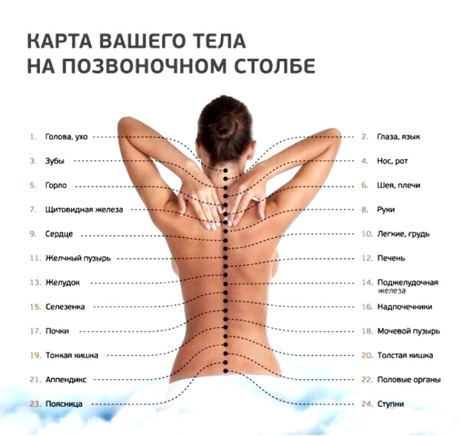 6 золотых правил здоровья КАЦУДЗО НИШИ