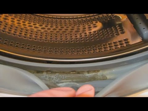 Чистка стиральной машины от плесени