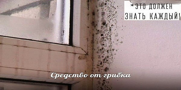 Это должен знать каждый!!!