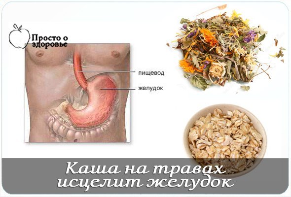 Каша на травах исцелит желудок