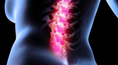 Методика Эстер Гоклей: 5 упражнений от боли в спине