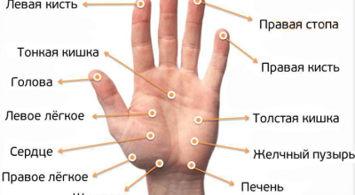 Массаж пальцев рук для снижения аппетита и укрепления иммунитета