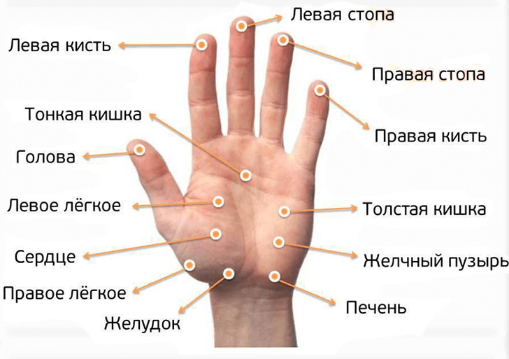 Массаж пальцев рук для снижения аппетита и укрепления иммунитета