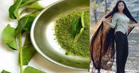 Длинные и крепкие волосы уже через месяц! Понадобится всего 1 чудодейственный компонент