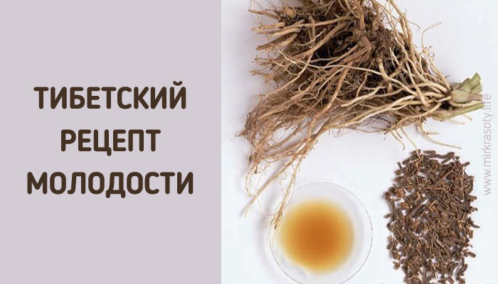 Укроп, мед, валериана — и сосуды без изъяна!