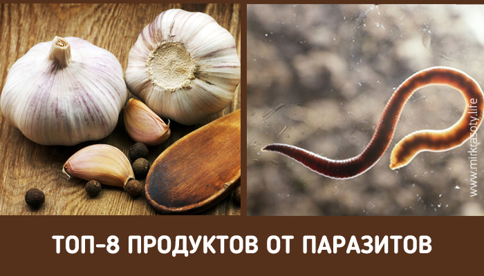 Какие продукты нужно есть, чтобы избавиться от паразитов?