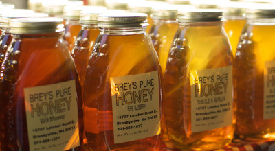 10 необычных свойств мёда, о которых ты не подозревал! Это полезно знать каждому