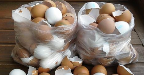 Вот почему я перестала выбрасывать яичную скорлупу! Превращаю ее в нечто потрясающее…