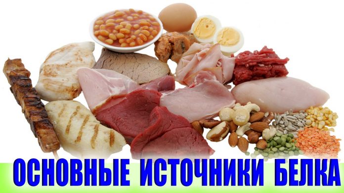 Основные источники белка!