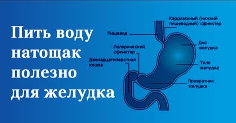 Вот почему стоит пить воду натощак!