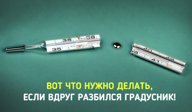Вот какие меры нужно срочно предпринять, если разбился градусник!
