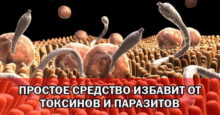 Знаете ли вы, что наш организм имеет около 15 кг токсинов? Вот как избавиться от них и не только… Смотрите!