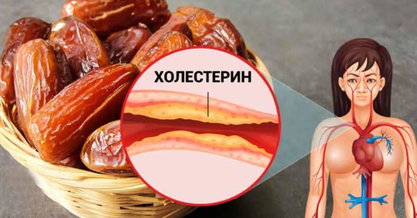 Полезные свойства фиников: лекарство еще никогда не было таким вкусным!
