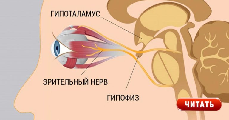 8 шагов к улучшению и восстановлению зрения. Работает, даже если ты носишь очки!