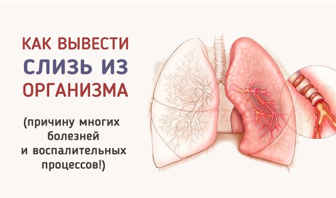 Как вывести слизь из организма и стать здоровее на 10 лет?
