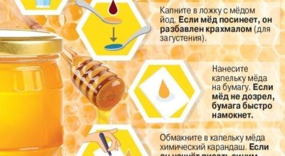 Сохрани своё здоровье! Распознай поддельный мед!