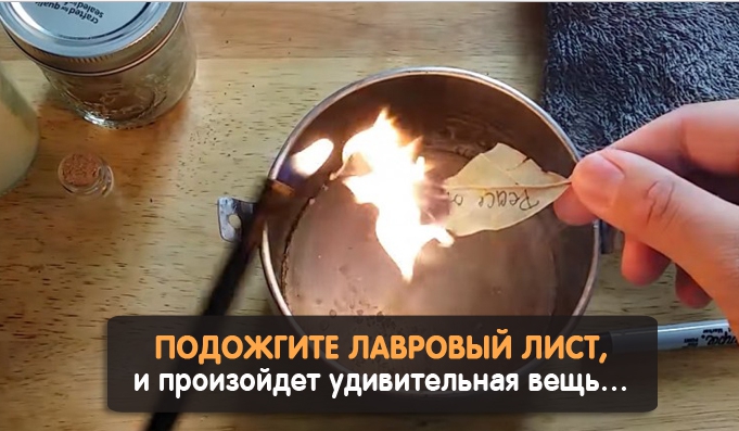 Удивительная вещь произойдет, если поджечь лавровый лист…