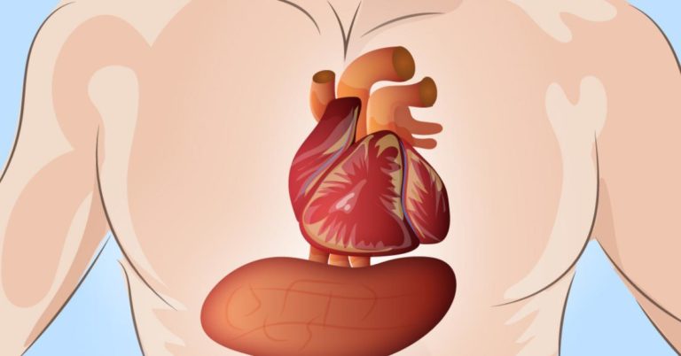 За месяц до сердечного приступа наше тело начинает подавать сигналы. Их нельзя игнорировать