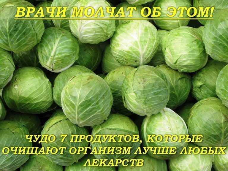 ВРАЧИ МОЛЧАТ ОБ ЭТОМ! ЧУДО 7 ПРОДУКТОВ, КОТОРЫЕ ОЧИЩАЮТ ОРГАНИЗМ ЛУЧШЕ ЛЮБЫХ ЛЕКАРСТВ