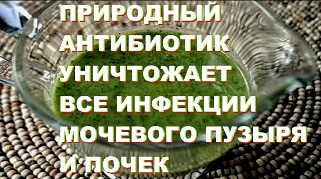 ПРИРОДНЫЙ СУПЕР АНТИБИОТИК УНИЧТОЖАЕТ ВСЕ ИНФЕКЦИИ МОЧЕВОГО ПУЗЫРЯ И ПОЧЕК ПОСЛЕ ПЕРВОГО ИСПОЛЬЗОВАНИЯ
