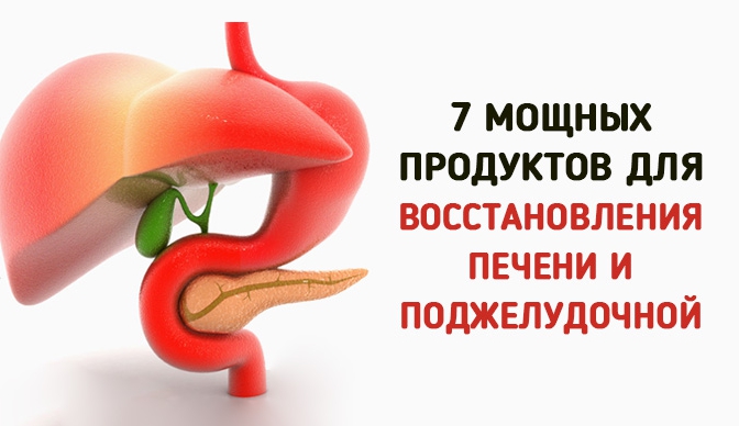7 мощных продуктов для восстановления печени и поджелудочной
