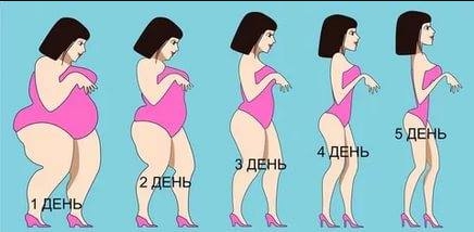 ЭТАПЫ ДИЕТЫ «ЛЕСЕНКА»