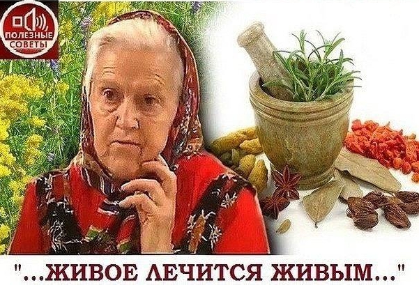 СОВЕТЫ СИБИРСКОЙ ТРАВНИЦЫ. ЖИВОЕ ЛЕЧИТСЯ ЖИВЫМ