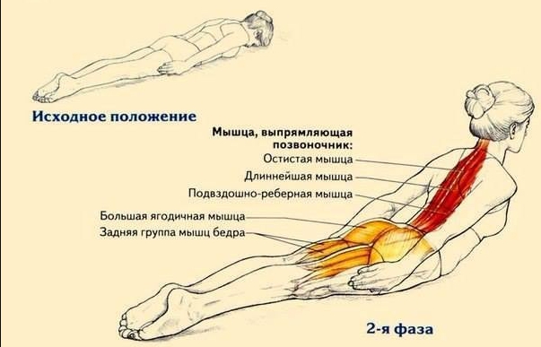 ВСЕГО ОДНО УПРАЖНЕНИЕ ДЛЯ КОРОЛЕВСКОЙ ОСАНКИ