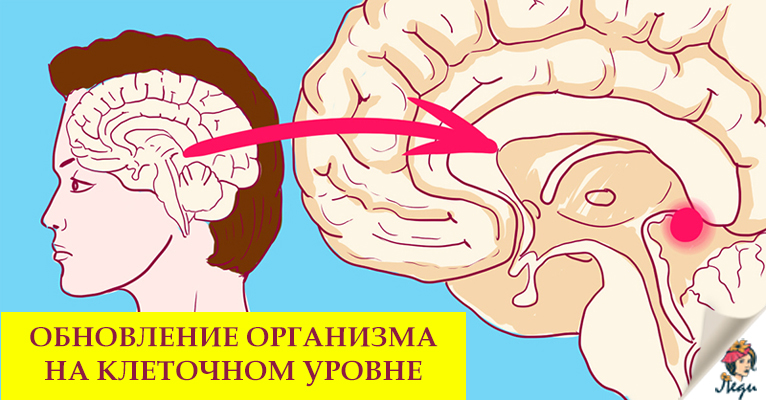 ГОРМОН, КОТОРЫЙ СОХРАНЯЕТ МОЛОДОСТЬ! ТАБЛЕТКА ОТ СТАРОСТИ: ВРЕМЯ — НАЗАД!