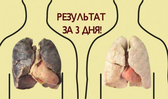 Самый классный способ очистить легкие! Особенно актуально для курильщиков!