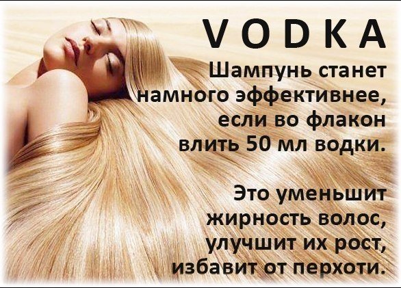 ВОДКА И ТРИНАДЦАТЬ СПОСОБОВ ЕЕ НЕОБЫЧНОГО ПРИМЕНЕНИЯ