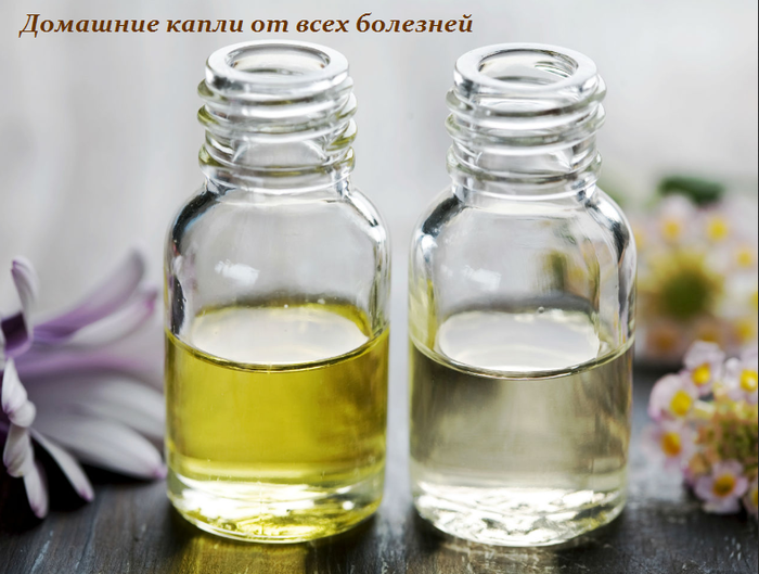 ДОМАШНИЕ КАПЛИ ОТ ВСЕХ БОЛЕЗНЕЙ