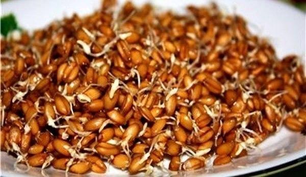 ПРОРОСШАЯ ПШЕНИЦА ЛЕЧИТ ВЕСЬ ОРГАНИЗМ