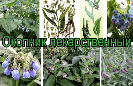 ЦЕЛЕБНАЯ МАЗЬ ПРИ МЕЖПОЗВОНКОВОЙ ГРЫЖЕ