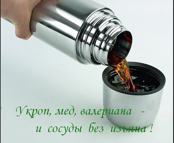 Укроп, мед, валериана — и сосуды без изъяна!