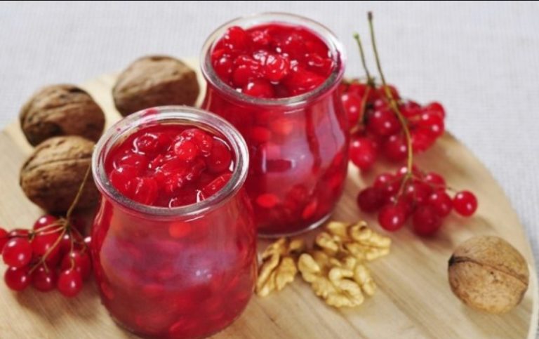 ЦЕЛЕБНЫЕ свойства КАЛИНЫ: простые рецепты