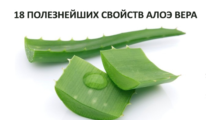 Какие аптечные препараты может заменить алоэ вера