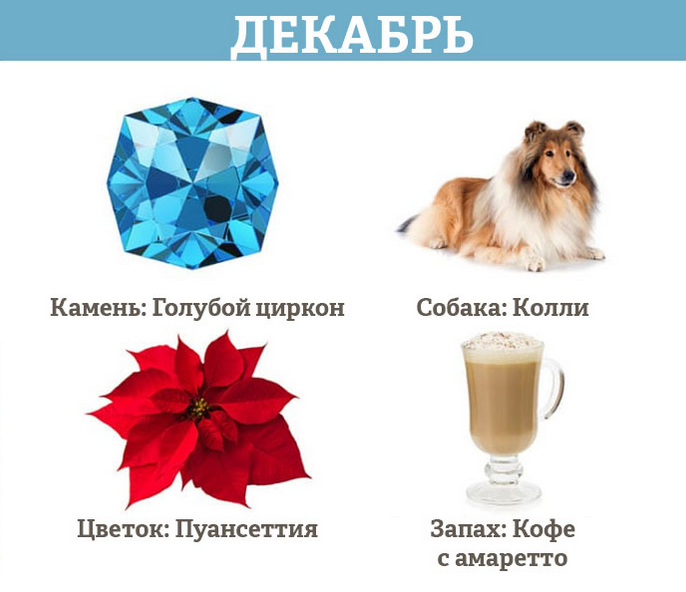 Гороскоп на декабрь